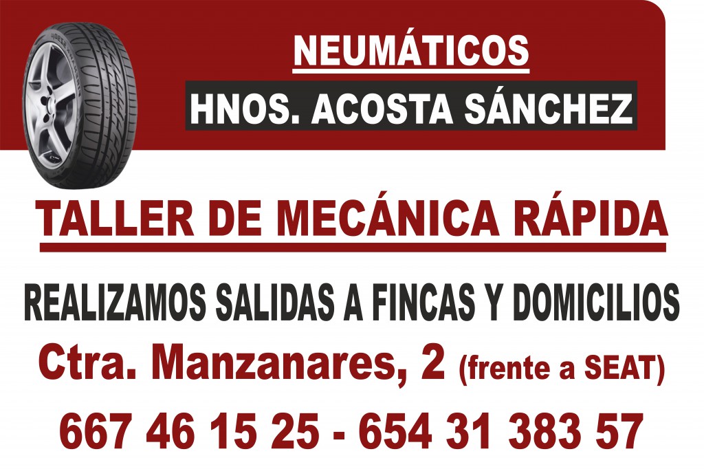 NEUMATICOS HNOS. ACOSTA